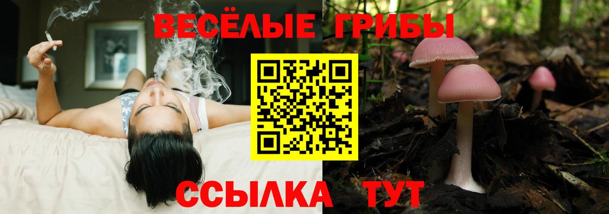 где купить наркоту  Псилоцибиновые грибы ЛСД  Псилоцибиновые грибы мицелий  Вход с VPN  Муравленко 