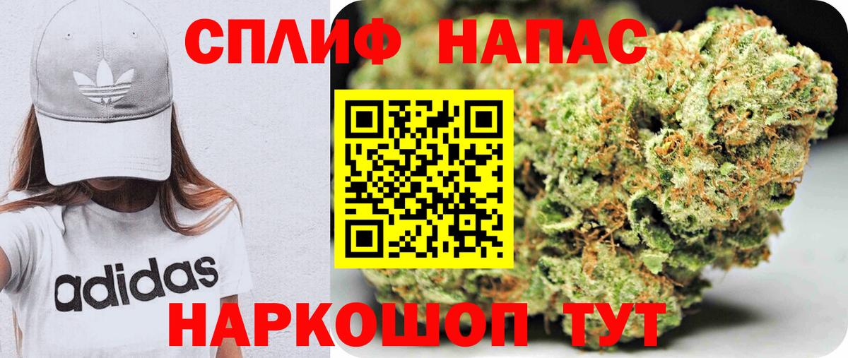 Бошки марихуана семена  Канабис семена  Муравленко  Конопля VHQ  Вход с VPN 